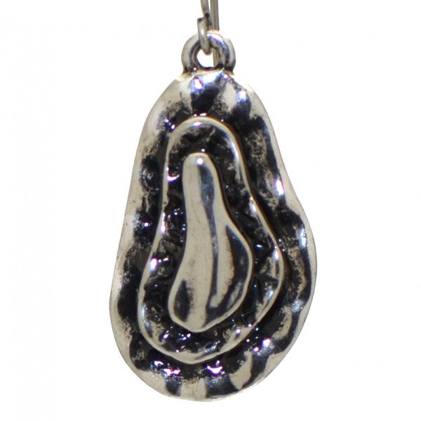 CLARIEE silver plated hook earrings