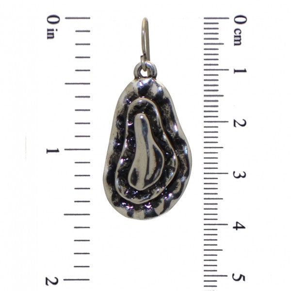 CLARIEE silver plated hook earrings