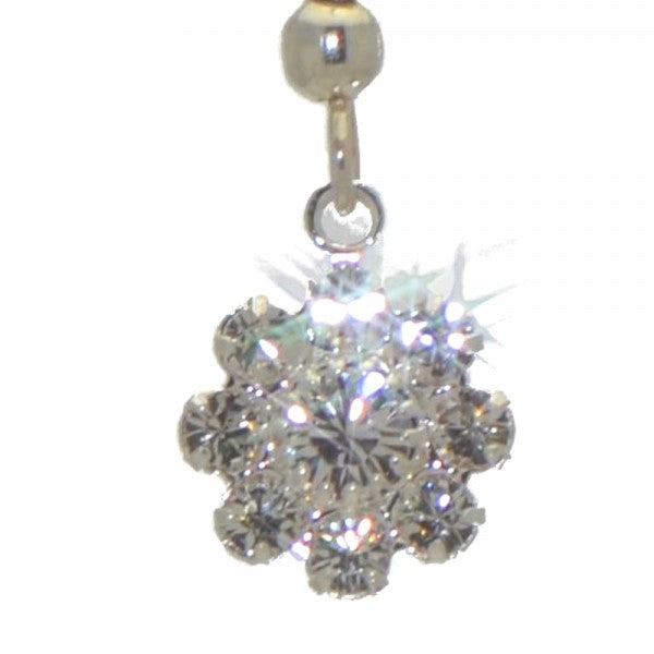 ROSINA silver plated clear crystal hook earrings