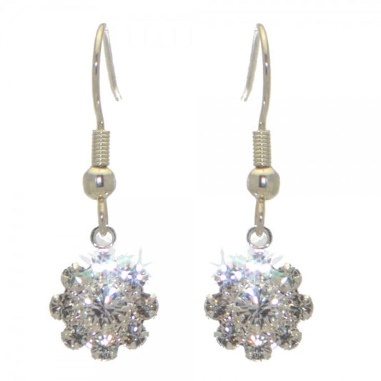 ROSINA silver plated clear crystal hook earrings
